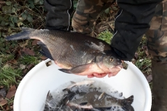 WhatsApp-Image-2019-12-14-at-16.36.49